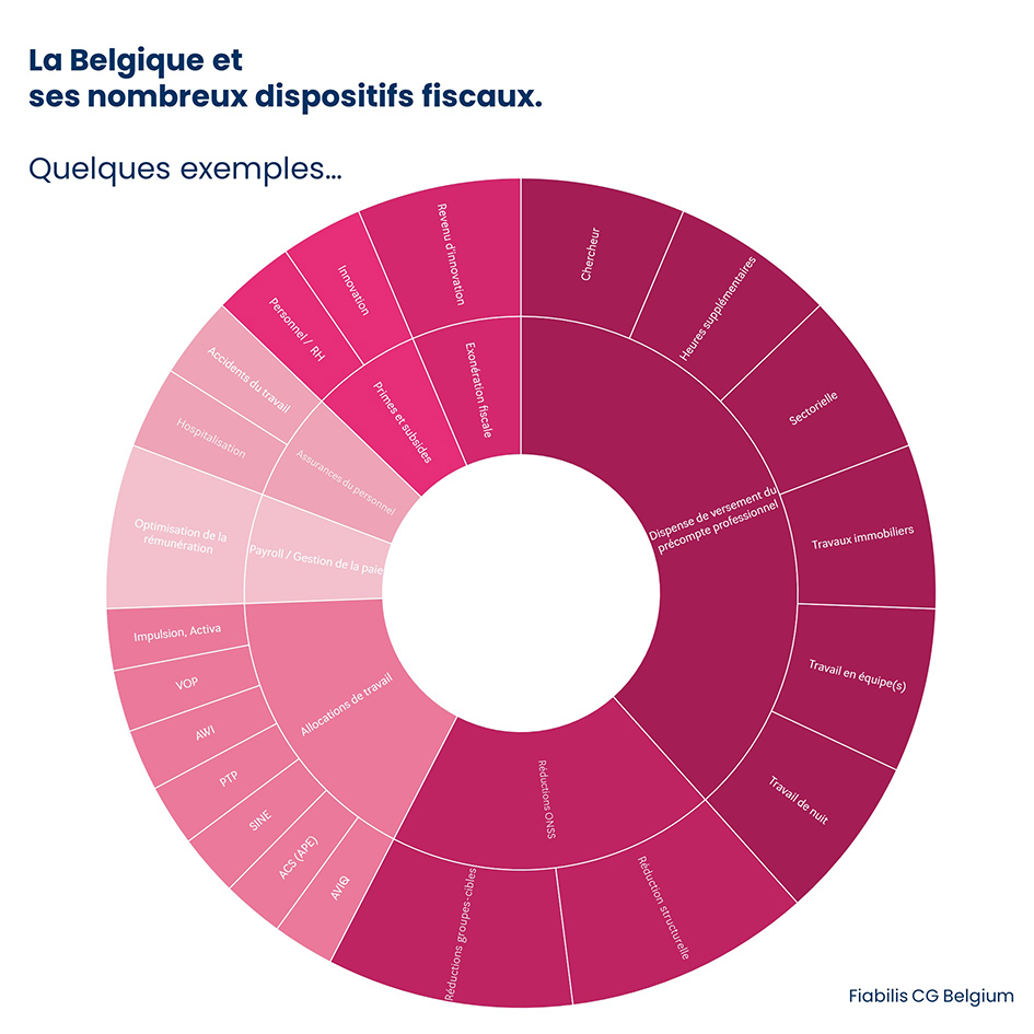 La Belgique compte plus 60 dispositifs fédéraux, régionaux et sectoriels qui peuvent être passés à la loupe.